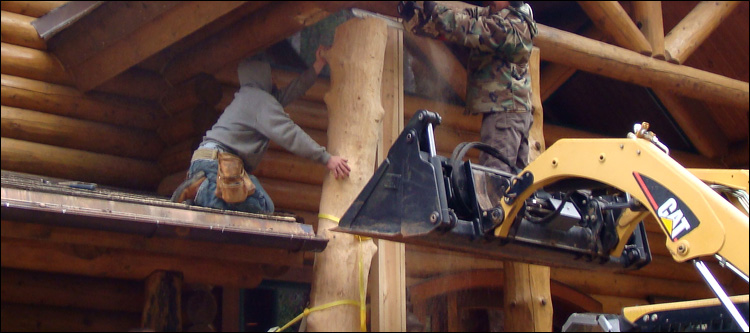 Log Home Log Replacement  Nellysford, Virginia
