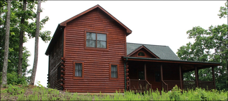 Professional Log Home Borate Application  Nelson County, Virginia